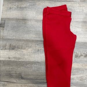 Women’s dress pant